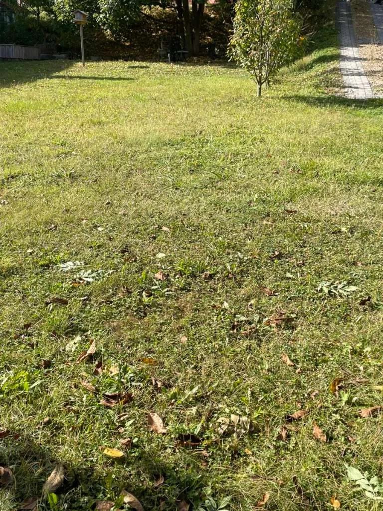 Grundstück kaufen in Krems Land – 688 m², € 149.000 – Bild 4 von 4