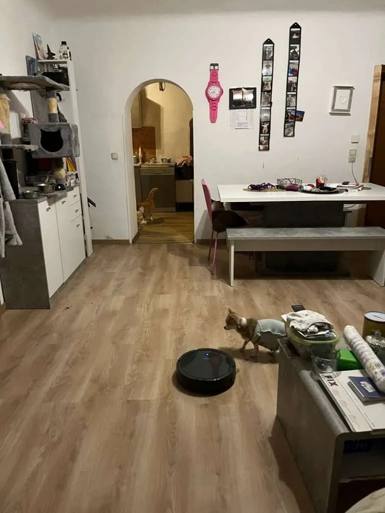 3-Zimmer-Wohnung mieten in Gmunden – 58 m², € 590 – Bild 3 von 12