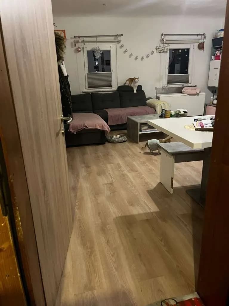 3-Zimmer-Wohnung mieten in Gmunden – 58 m², € 590 – Bild 11 von 12