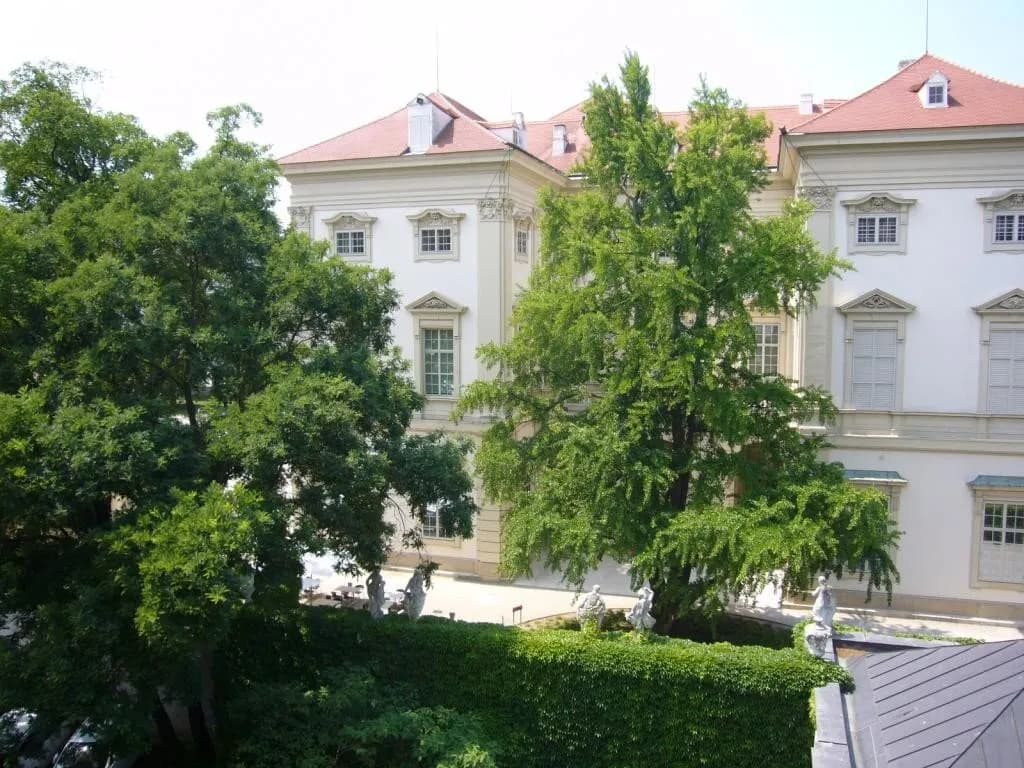 3-Zimmer-Wohnung mieten in Wien – 144,76 m², € 2.684 – Bild 7 von 13