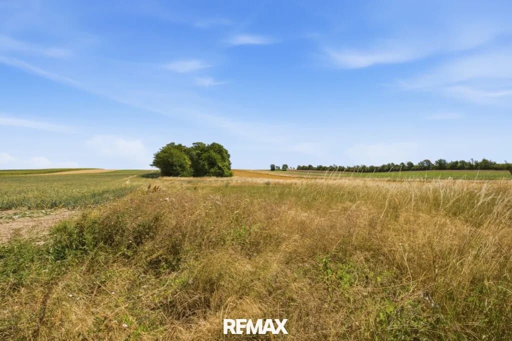 Immobilie kaufen in Korneuburg – 20 370 m², € 203.500 – Bild 3 von 4