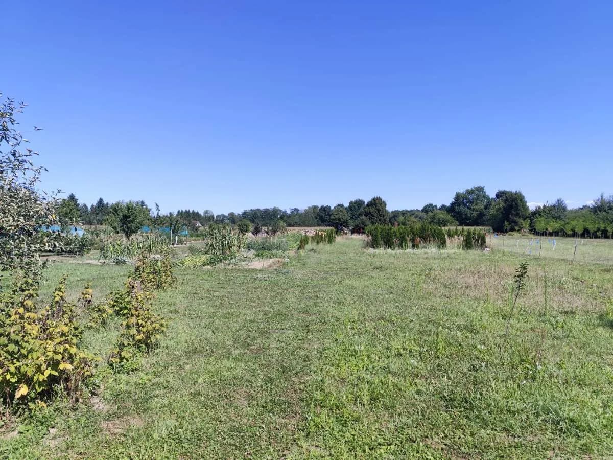 3-Zimmer-Haus kaufen in Österreich – 180 m², € 126.000 – Bild 13 von 18