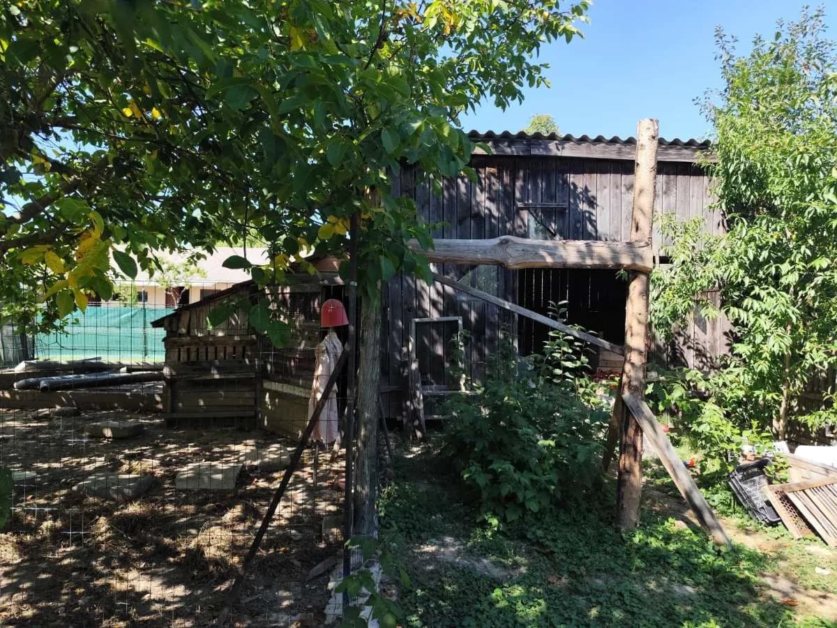 3-Zimmer-Haus kaufen in Österreich – 180 m², € 126.000 – Bild 15 von 18