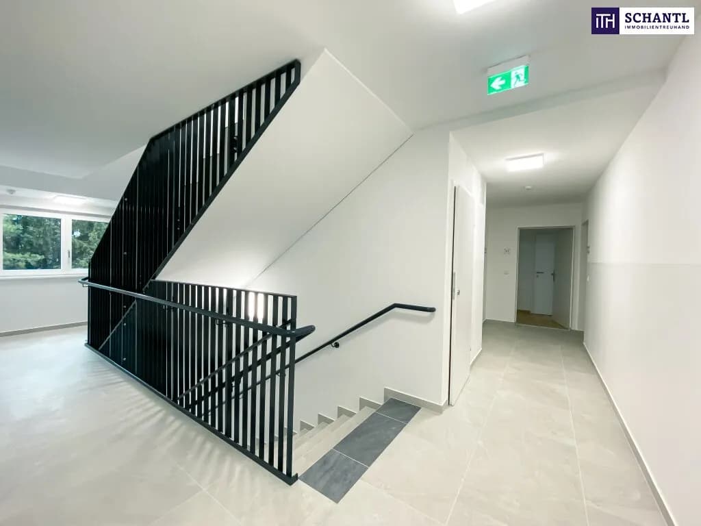 1-Zimmer-Wohnung mieten in Wien – 37,37 m², € 800 – Bild 6 von 10
