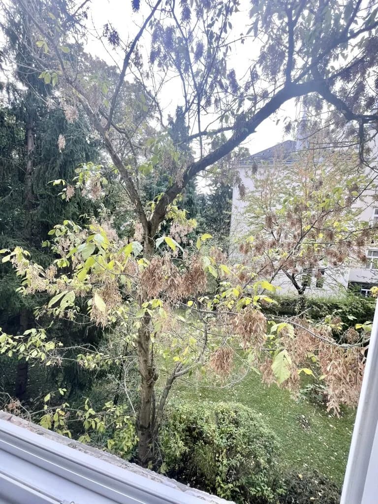 6-Zimmer-Wohnung kaufen in Wien – 145 m², € 880.000 – Bild 6 von 30