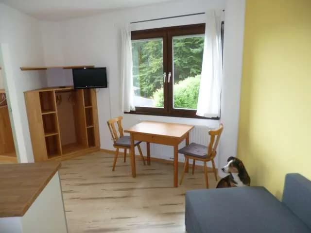 2-Zimmer-Wohnung mieten in Hermagor – 38 m², € 300 – Bild 4 von 8