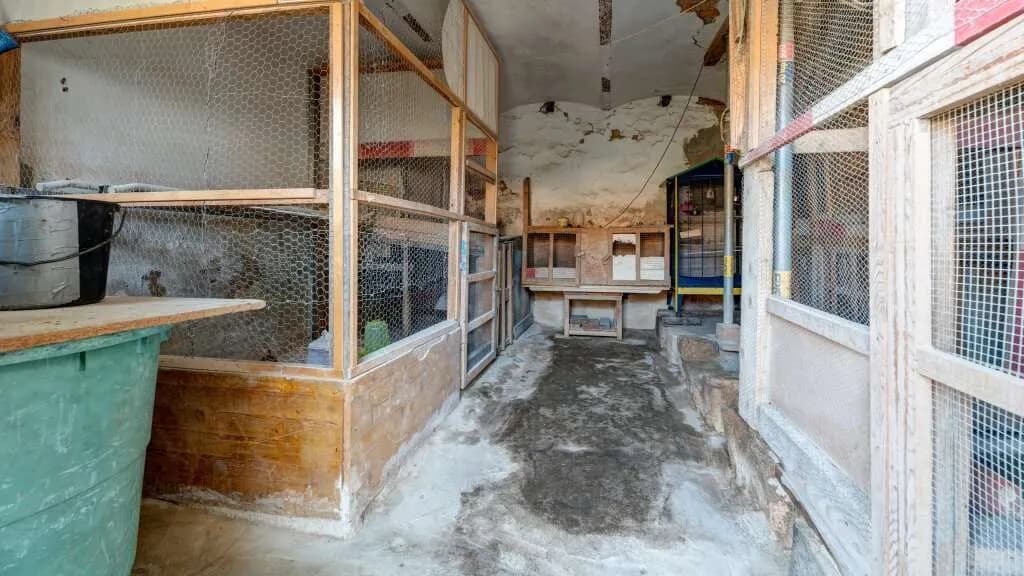 Immobilie kaufen in Mistelbach – 200 m², € 250.000 – Bild 19 von 32