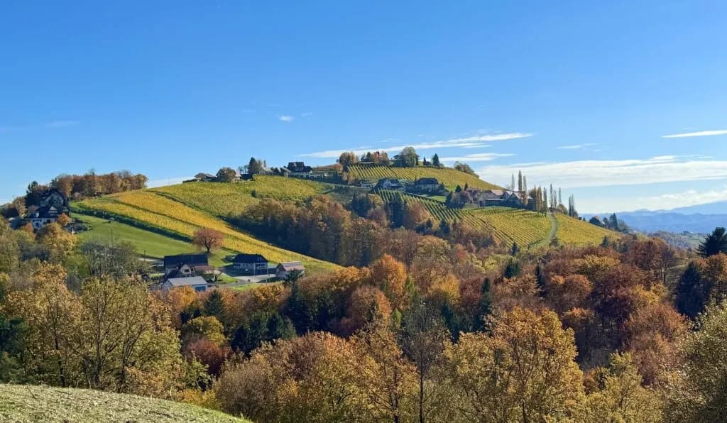 Grundstück kaufen in Leibnitz – 296 m², € 647.000 – Bild 13 von 13
