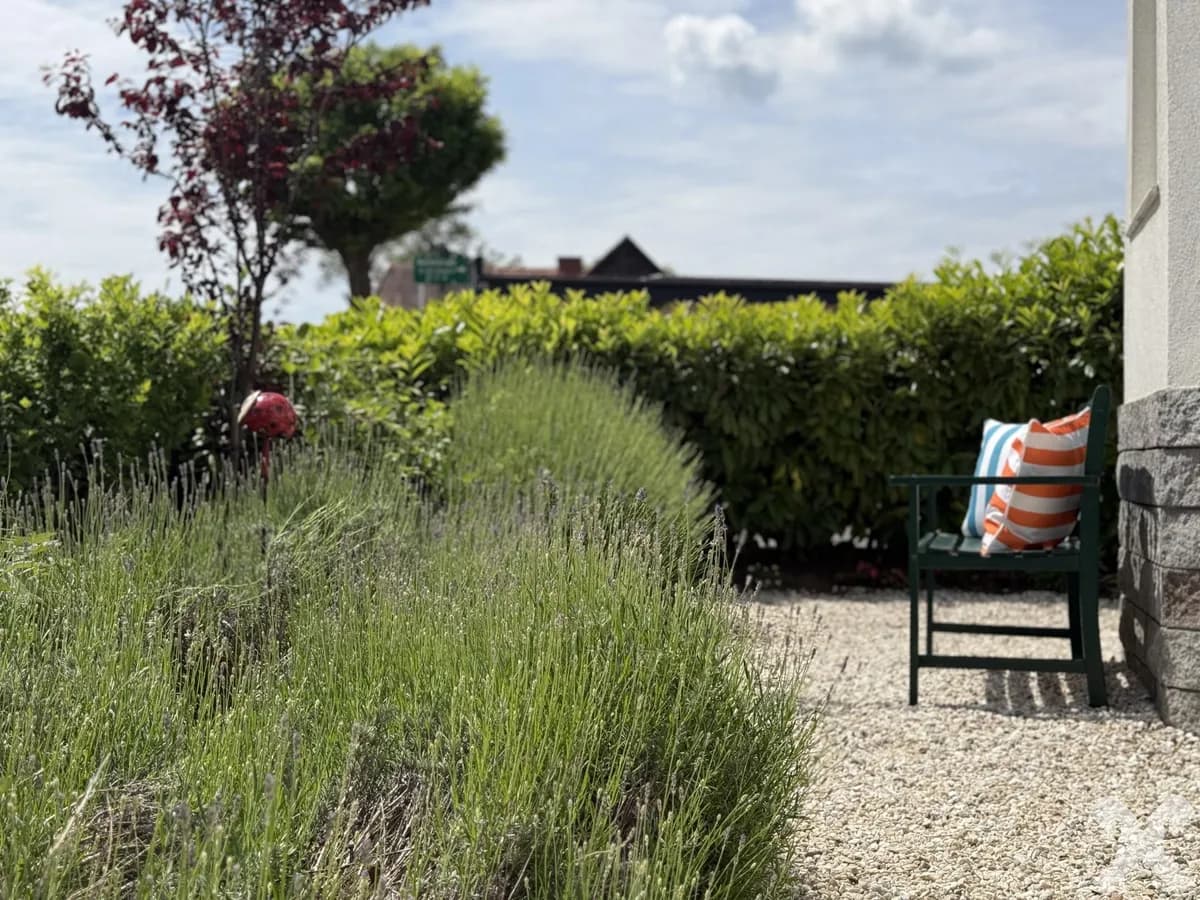 4-Zimmer-Haus kaufen in Südoststeiermark – 100 m², € 375.000 – Bild 3 von 25