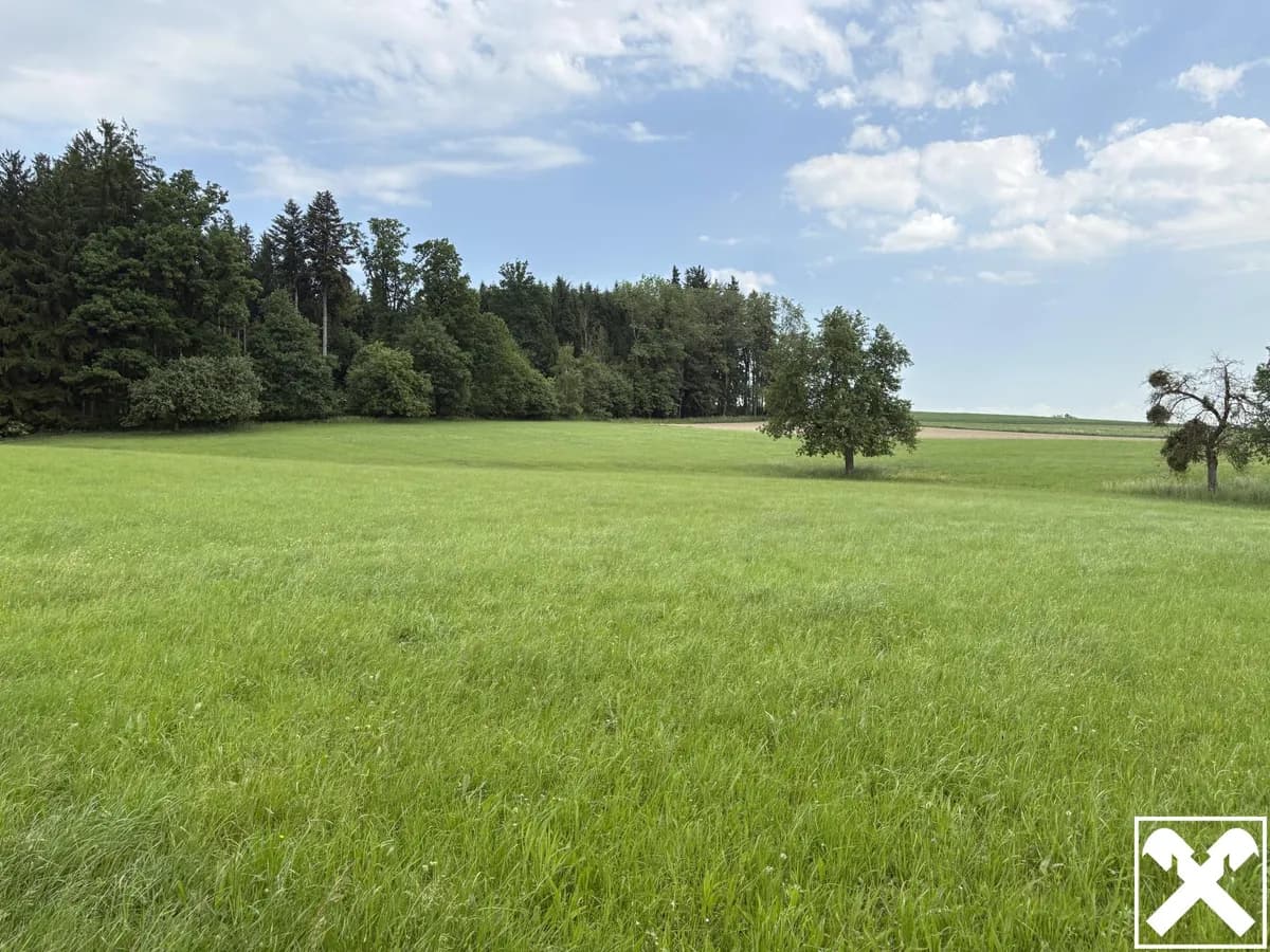 Haus kaufen in Ried im Innkreis – 223 m², € 665.000 – Bild 22 von 24