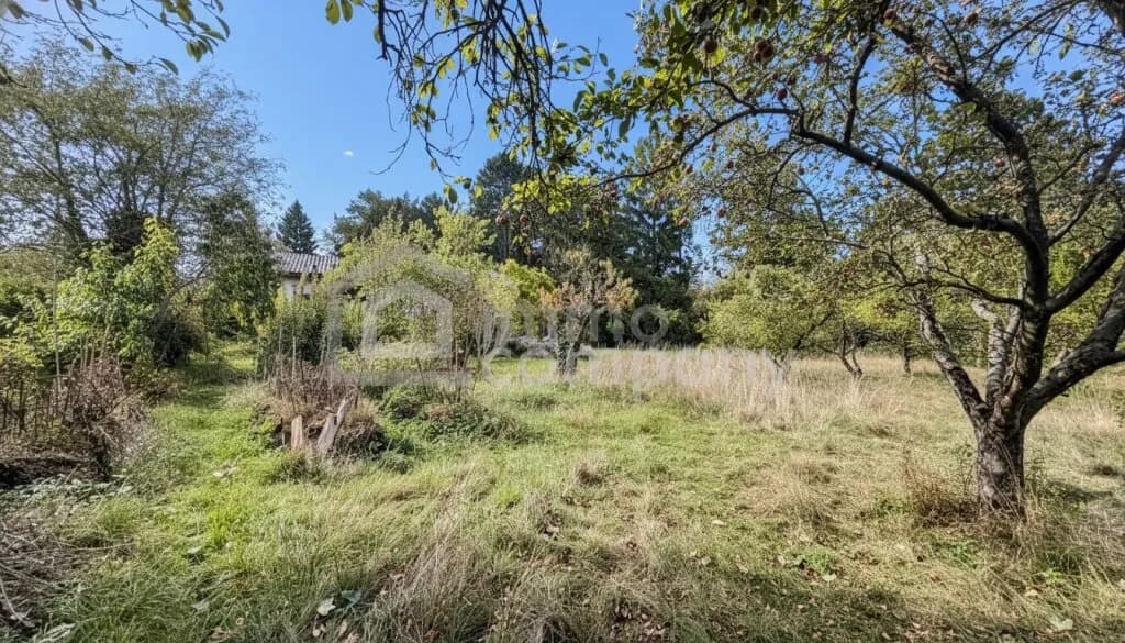Grundstück kaufen in Wiener Neustadt Land – 984 m², € 379.000 – Bild 5 von 7