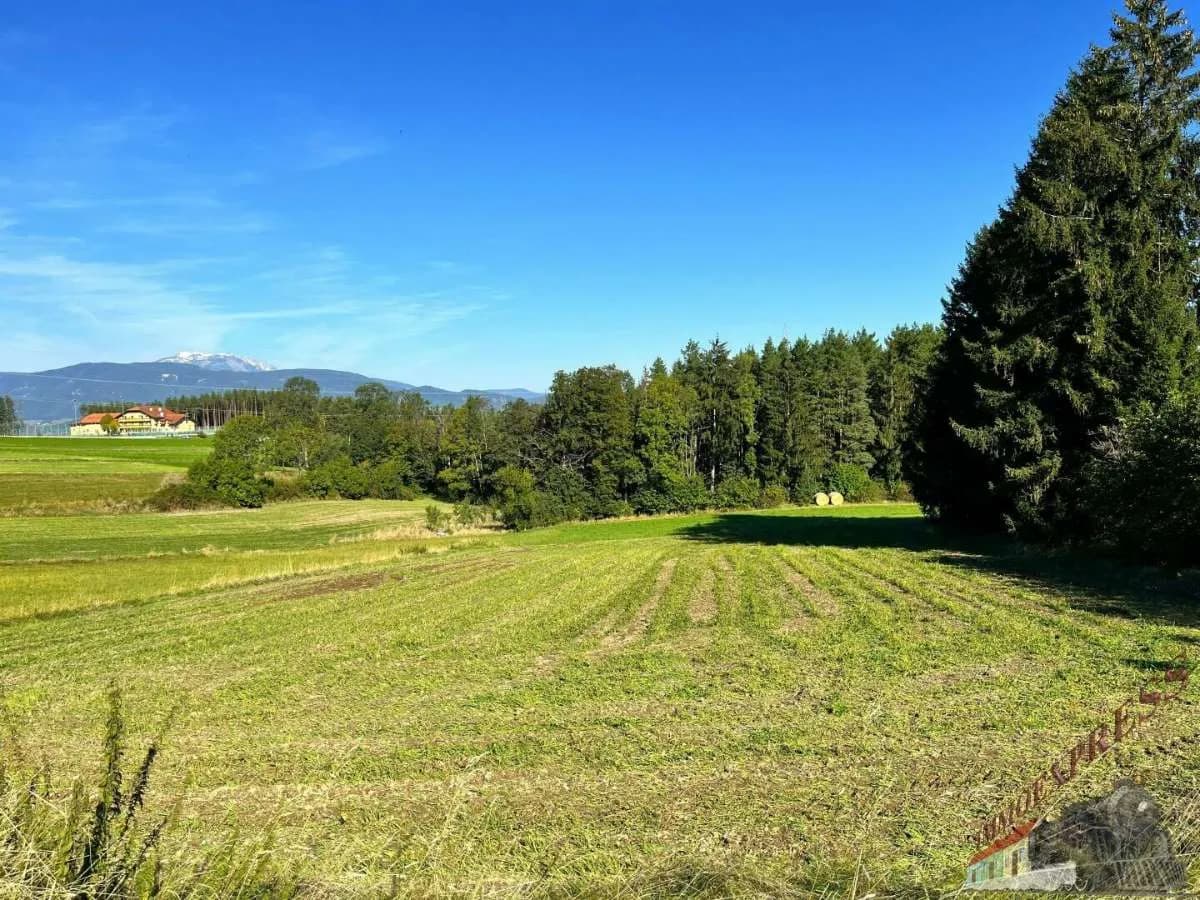 Grundstück kaufen in Neunkirchen – 1 431 m², € 129.000
