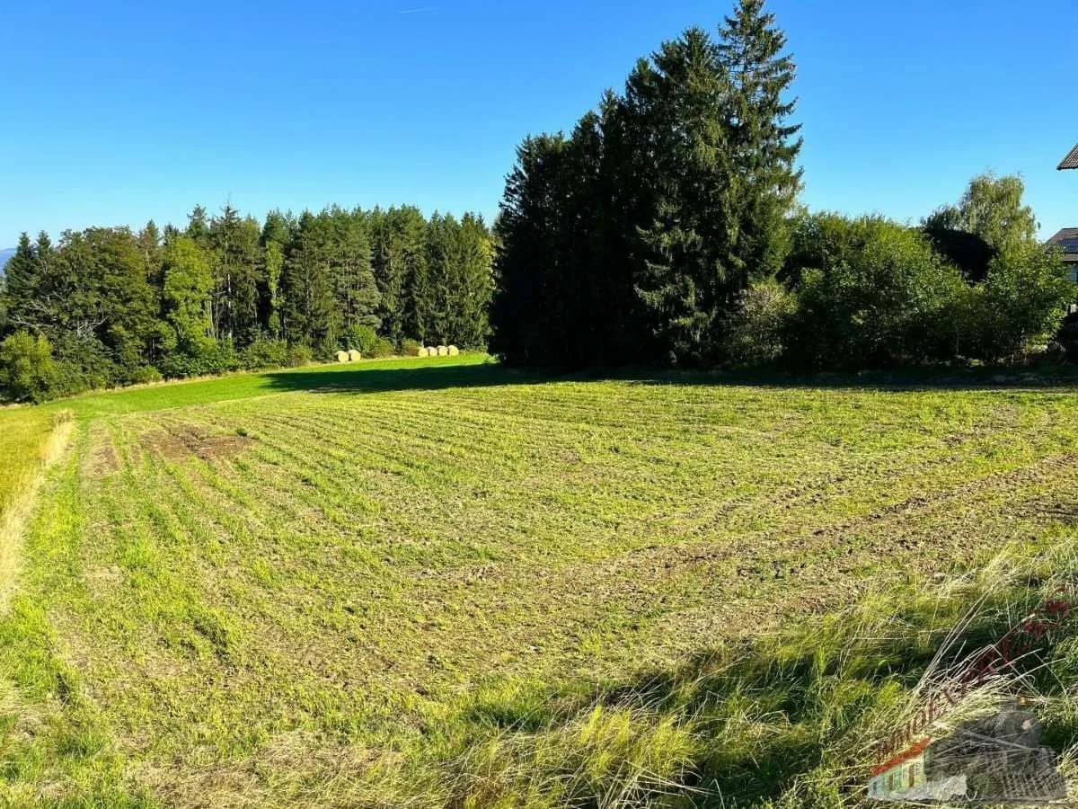 Grundstück kaufen in Neunkirchen – 1 431 m², € 129.000 – Bild 2 von 2