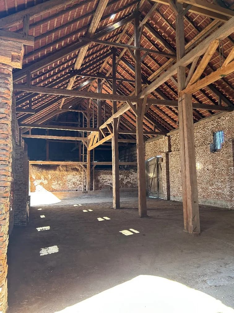 Gewerbeimmobilie mieten in Linz Land – 300 m², € 2.200 – Bild 5 von 9