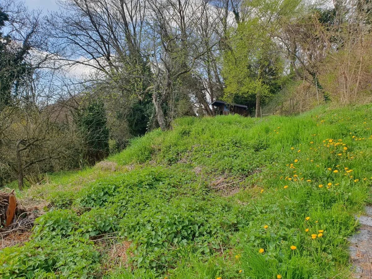 Grundstück kaufen in Graz-Umgebung – 2 150 m², € 1.300.000 – Bild 11 von 27