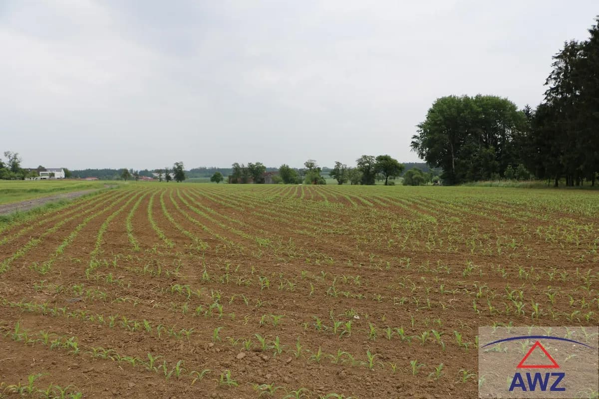 Grundstück kaufen in Perg – 9 700 m²