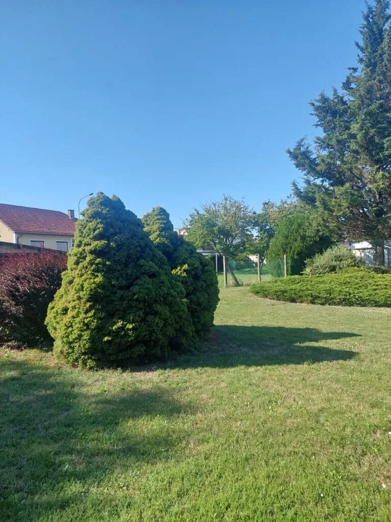 Grundstück kaufen in Neusiedl am See – 692 m², € 107.115 – Bild 2 von 3