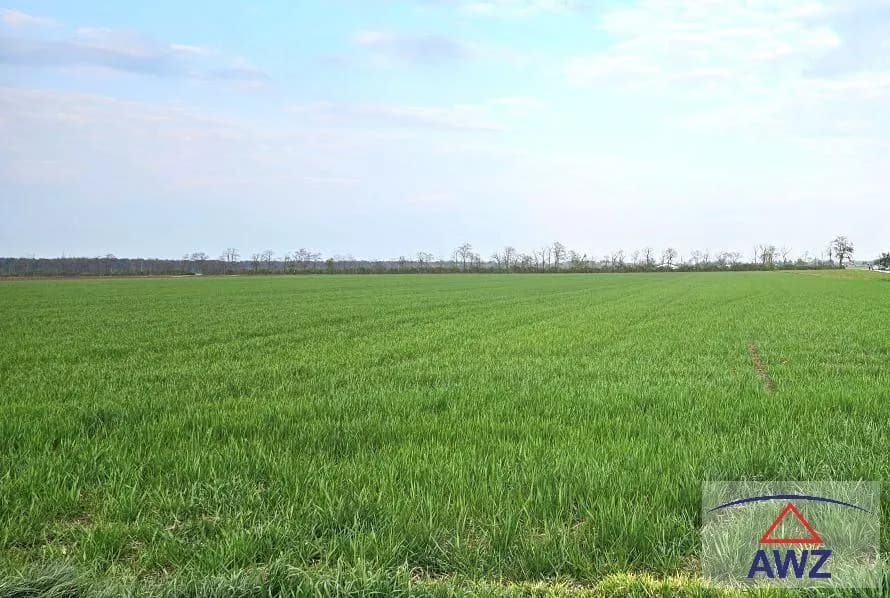 Grundstück kaufen in Mistelbach – 67 018 m²