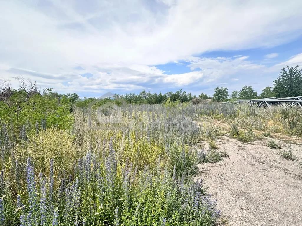 Grundstück mieten in Wiener Neustadt Land – 2 944 m², € 2.944 – Bild 3 von 6