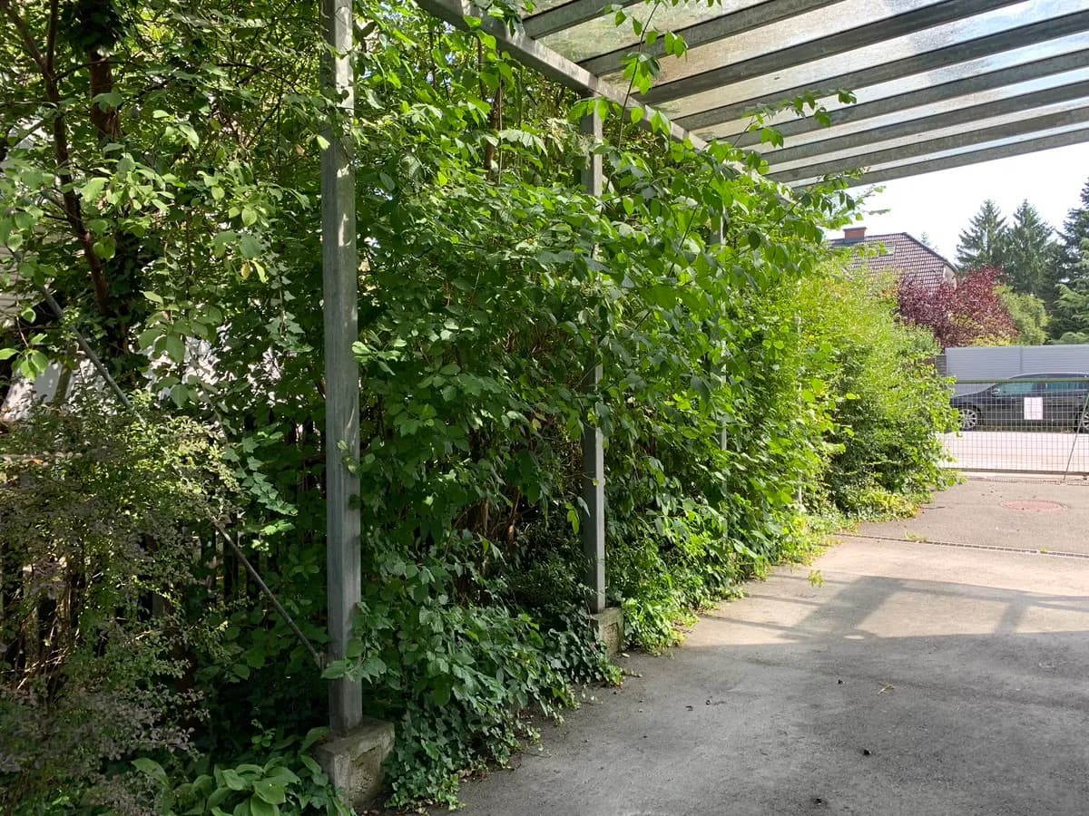 7-Zimmer-Gewerbeimmobilie mieten in Graz – 150 m², € 590.000 – Bild 4 von 5
