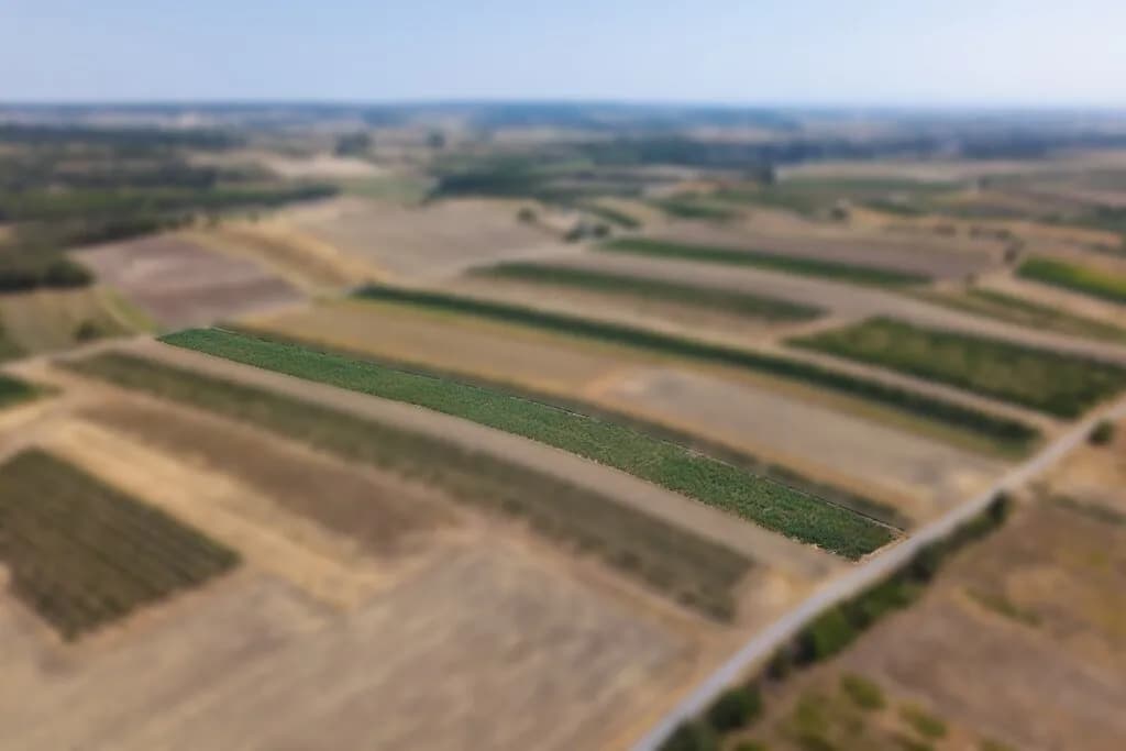 Grundstück kaufen in Mistelbach – 5 834 m², € 39.767
