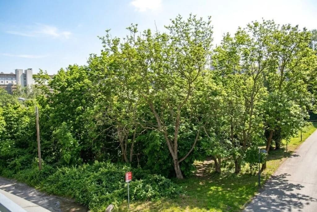 1-Zimmer-Wohnung kaufen in Wien – 34,27 m², € 217.197 – Bild 3 von 5