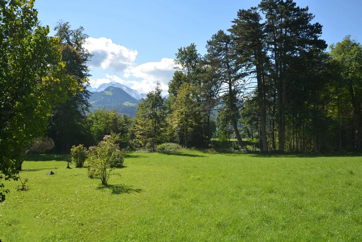 Immobilie kaufen in Hallein – 300 m², € 3.975.000 – Bild 5 von 5