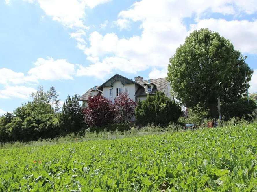 10-Zimmer-Immobilie kaufen in Korneuburg – 347 m², € 750.000 – Bild 12 von 36