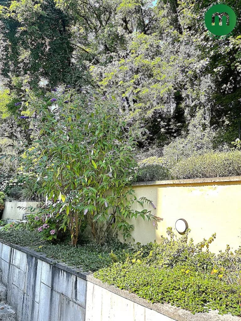 4-Zimmer-Wohnung kaufen in Wien – 160,87 m², € 1.048.000 – Bild 31 von 33