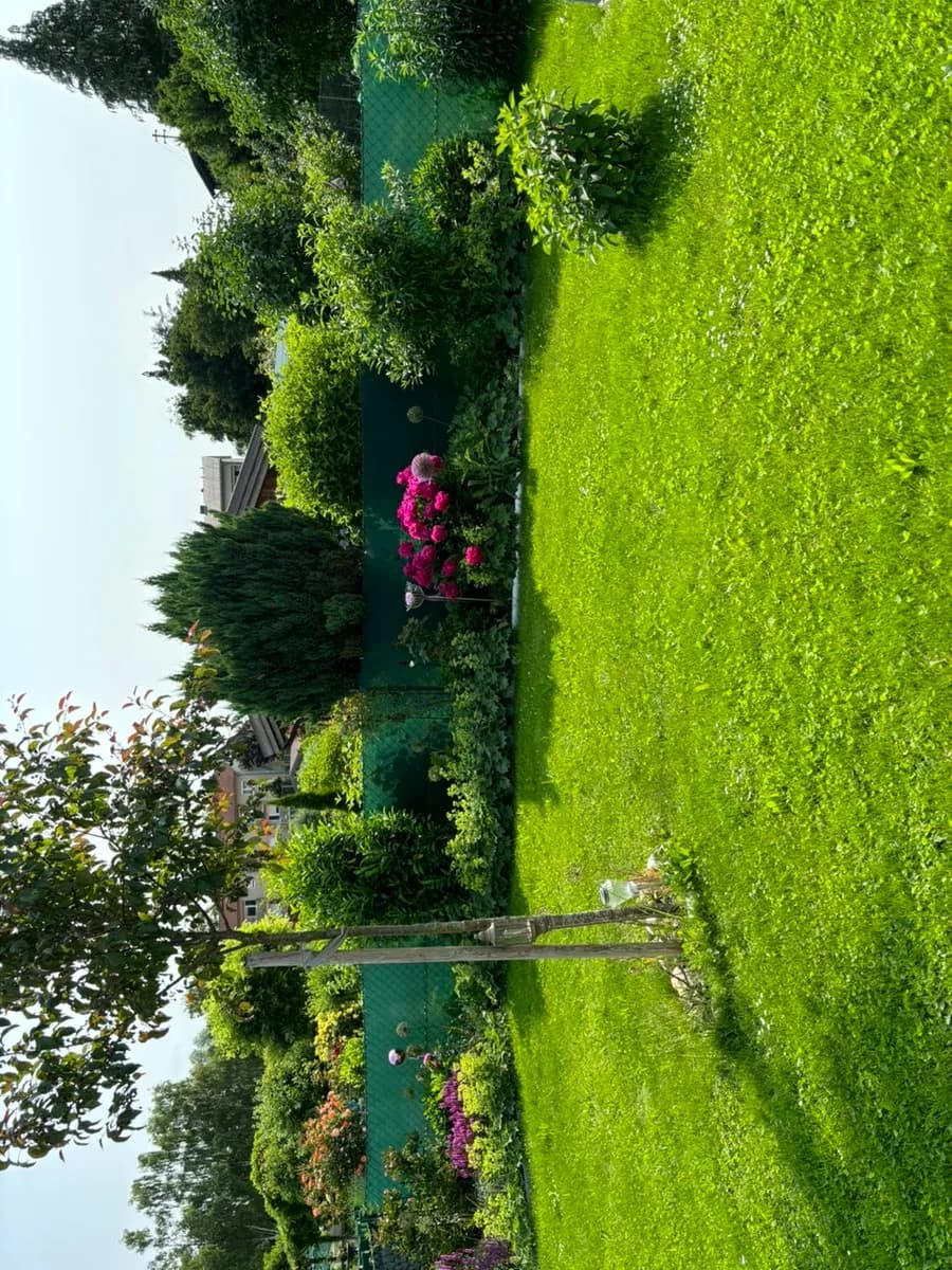 Immobilie kaufen in Grieskirchen – 300 m², € 54.900 – Bild 6 von 8