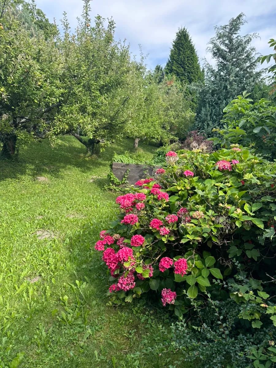5-Zimmer-Haus mieten in Oberwart – 170 m², € 1.400 – Bild 15 von 21