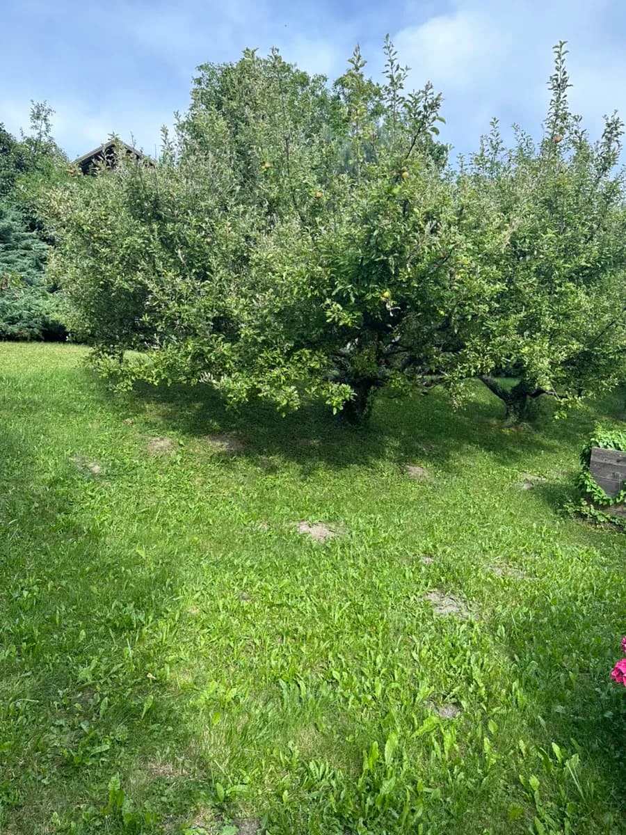 5-Zimmer-Haus mieten in Oberwart – 170 m², € 1.400 – Bild 21 von 21