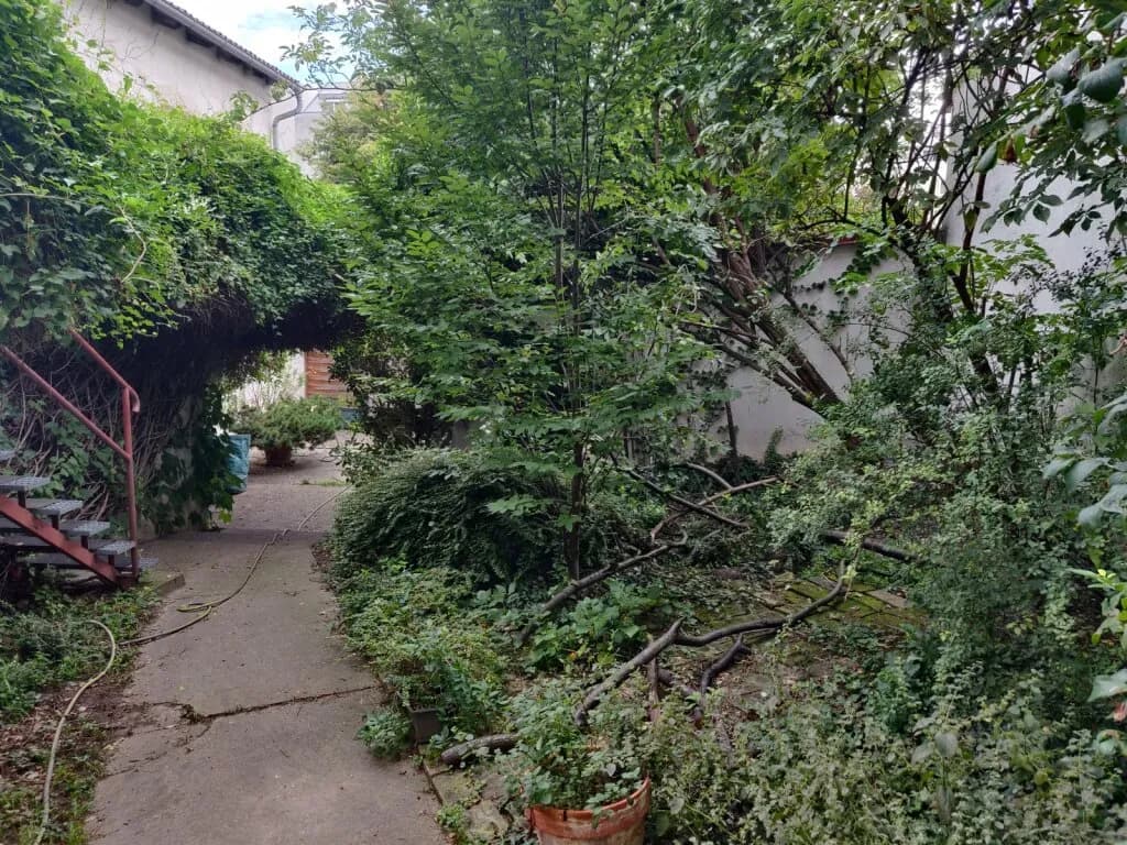 Immobilie kaufen in Wien – 580 m², € 1.220.000 – Bild 3 von 22