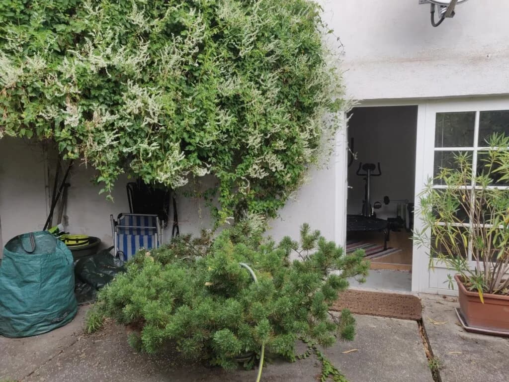Immobilie kaufen in Wien – 580 m², € 1.220.000 – Bild 9 von 22