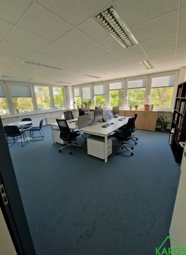 Gewerbeimmobilie mieten in Wien – 595 m², € 6.007 – Bild 3 von 12