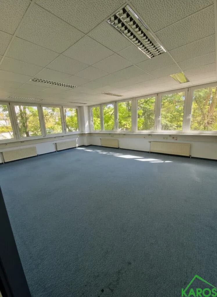 Gewerbeimmobilie mieten in Wien – 595 m², € 6.007 – Bild 4 von 12
