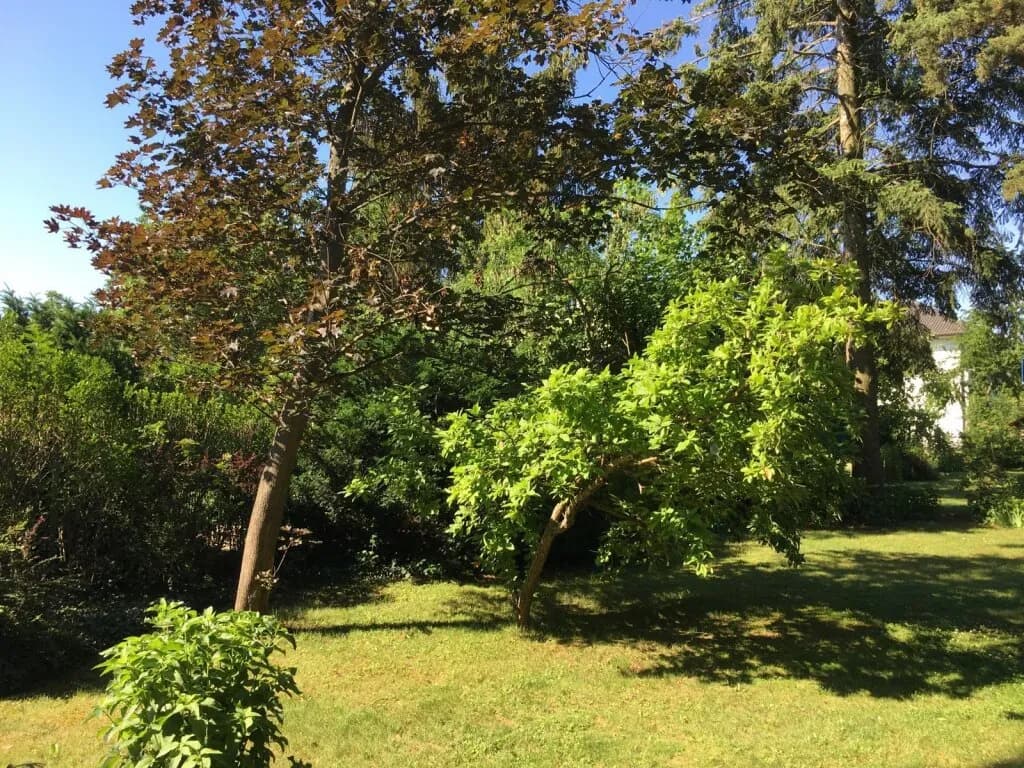 6-Zimmer-Haus kaufen in Gänserndorf – 90 m², € 450.000 – Bild 6 von 27