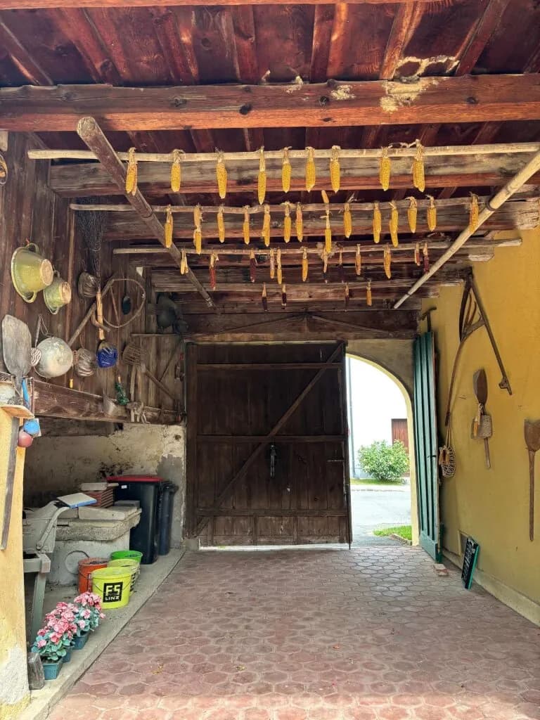 5-Zimmer-Immobilie kaufen in Oberpullendorf – 100 m², € 199.000 – Bild 3 von 24