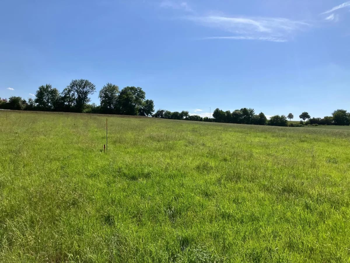 Grundstück mieten in Korneuburg – 736 m², € 559 – Bild 11 von 13