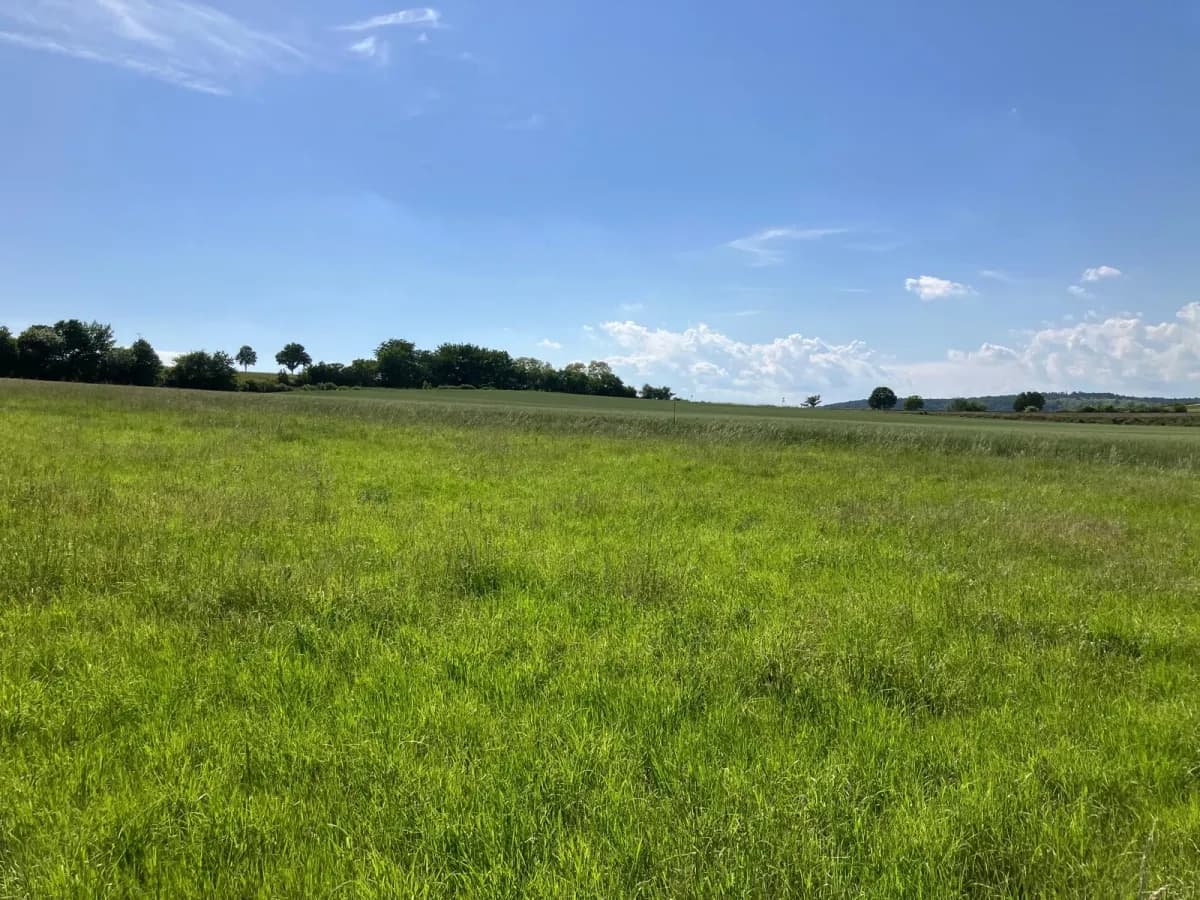 Grundstück mieten in Korneuburg – 736 m², € 559 – Bild 12 von 13