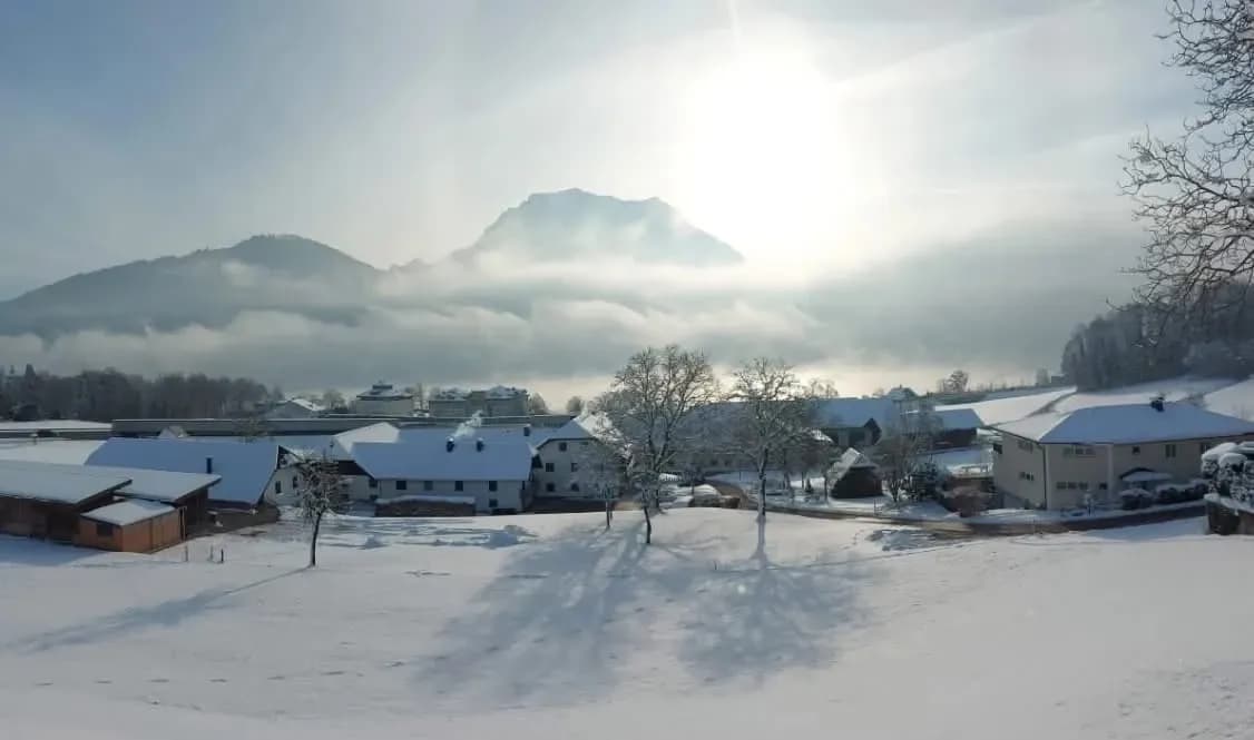 Grundstück kaufen in Gmunden – 1 228 m², € 1.375.000 – Bild 10 von 13