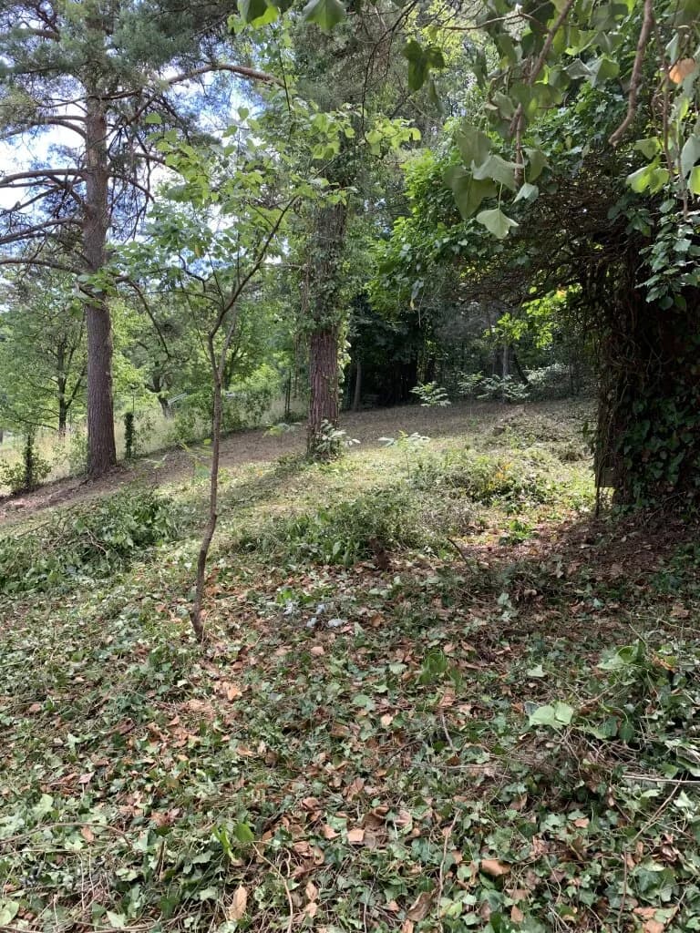 Grundstück kaufen in Mistelbach – 1 115 m², € 180.000 – Bild 4 von 6