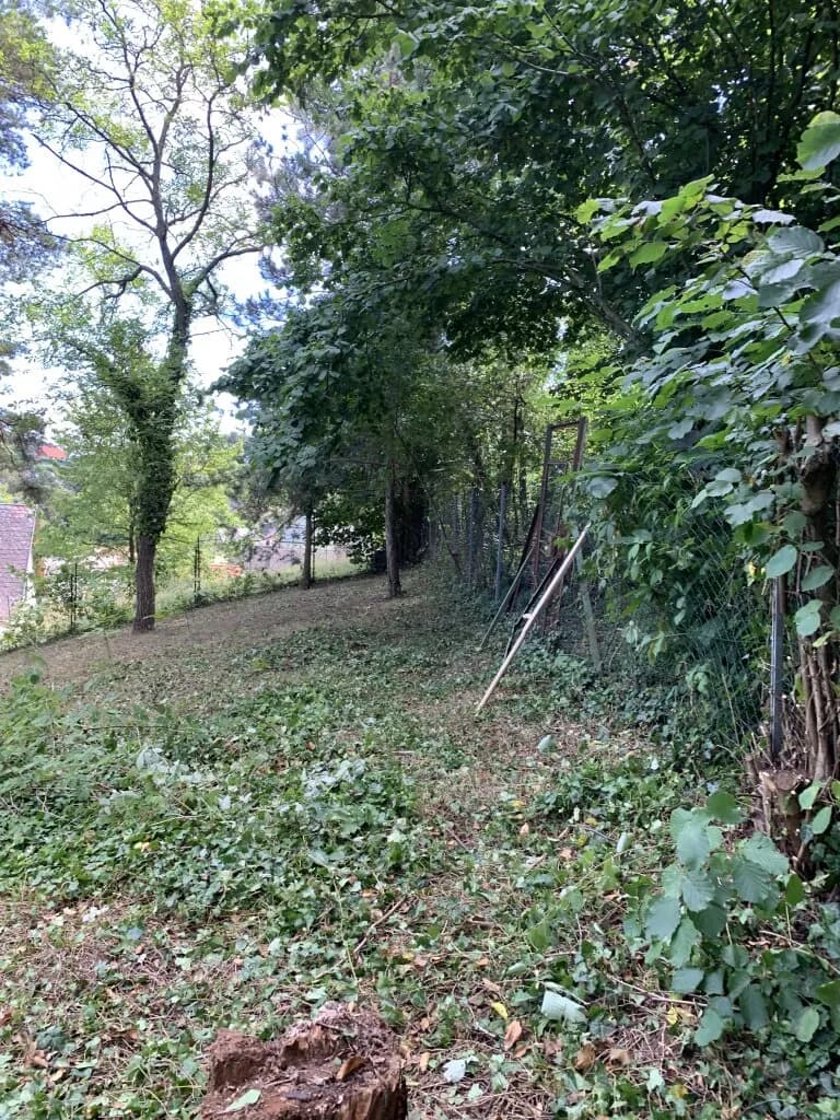 Grundstück kaufen in Mistelbach – 1 115 m², € 180.000 – Bild 5 von 6