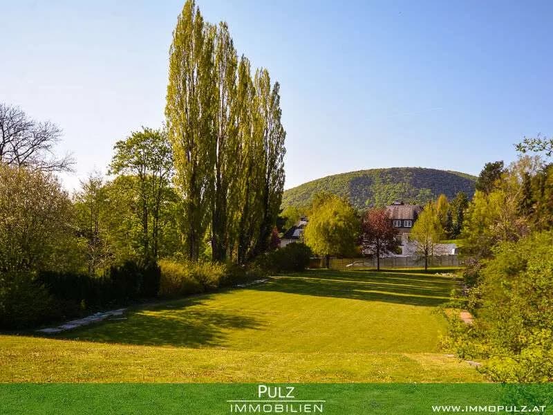 Grundstück kaufen in Mödling – 1 247 m², € 1.235.000 – Bild 4 von 6