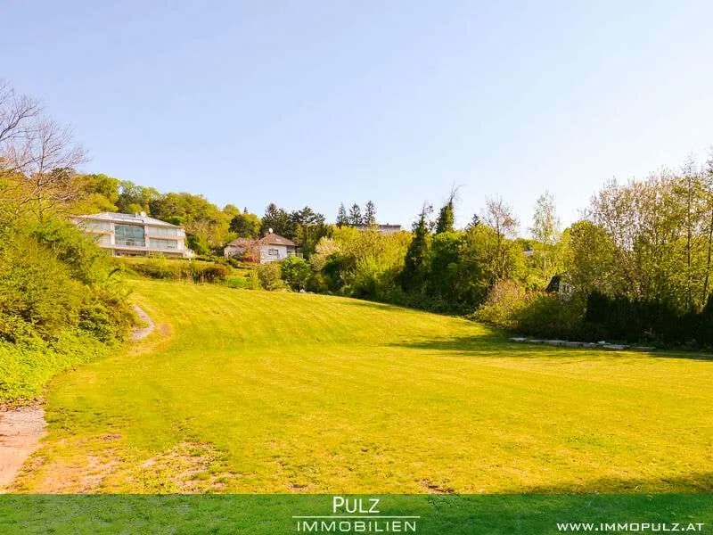 Grundstück kaufen in Mödling – 1 247 m², € 1.235.000 – Bild 6 von 6