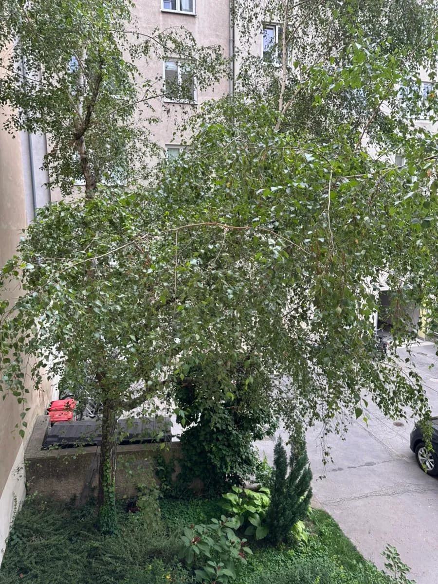 1-Zimmer-Wohnung mieten in Wien – 35 m², € 850 – Bild 24 von 27