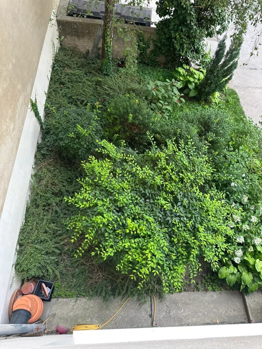 1-Zimmer-Wohnung mieten in Wien – 35 m², € 850 – Bild 25 von 27