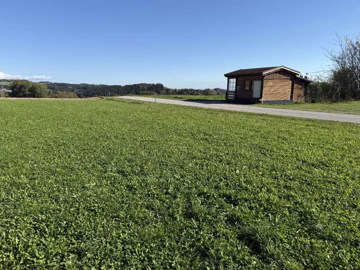 Grundstück kaufen in Perg – 1 051 m², € 233.000 – Bild 2 von 4
