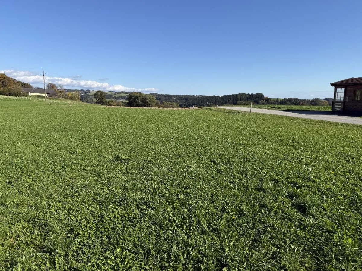 Grundstück kaufen in Perg – 1 051 m², € 233.000 – Bild 3 von 4