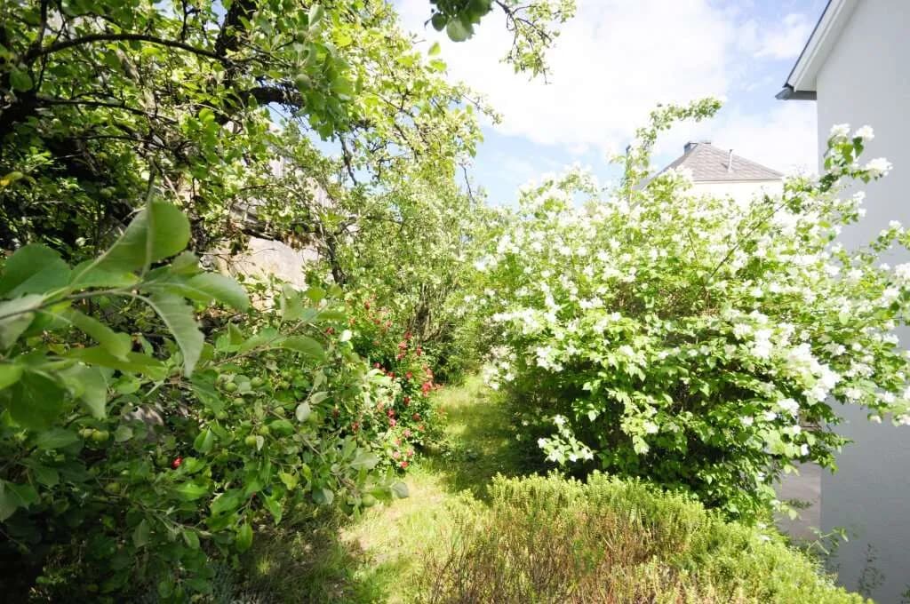 Immobilie kaufen in Sankt Pölten – 79,37 m², € 240.000 – Bild 24 von 32